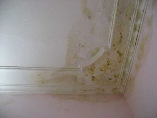 Hiện tượng mốc tường nhà phòng ngủ cần chống ẩm