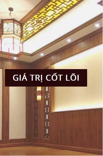 Giá Trị Cốt Lõi - API Việt Nam